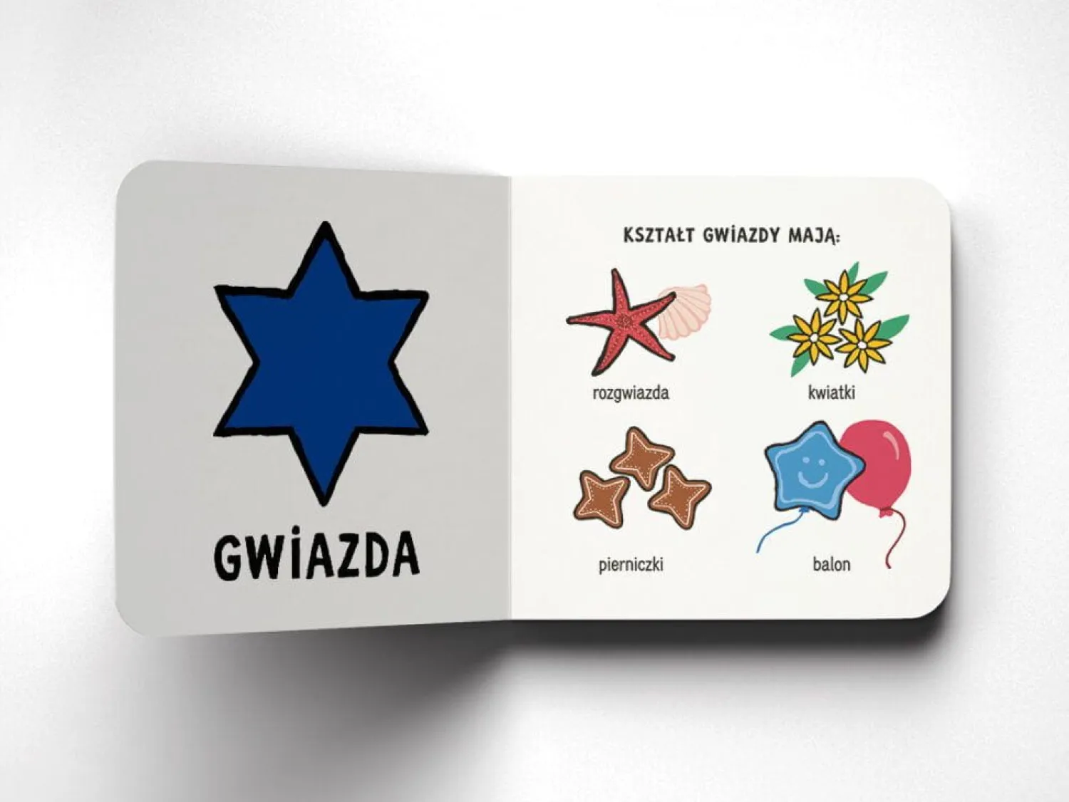 Kicia Kocia|2-5 Lat | Wydawnictwo Media Rodzina Akademia Kici Koci. Kształty