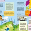 9 Lat +|5-8 Lat | Wydawnictwo Wilga Atlas geograficzny Polski z naklejkami i plakatem