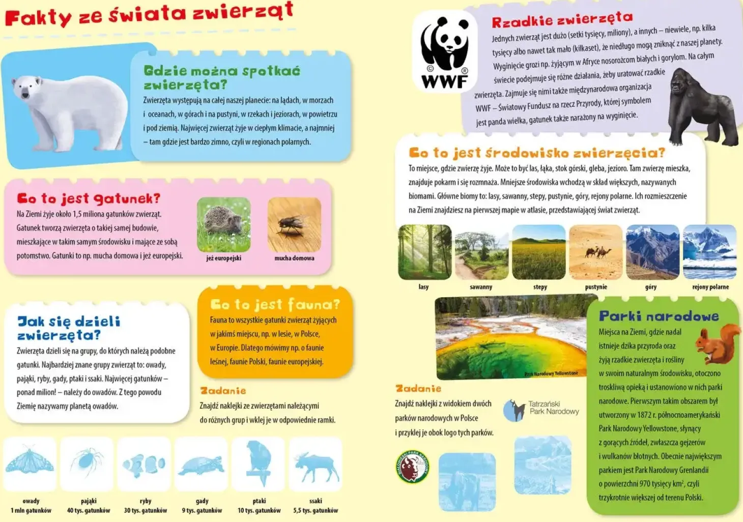 Atlas zwierząt świata z naklejkami i plakatem
