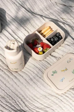 Bidony I Butelki|Bidony I Butelki | KIDZROOM Butelka bidon 350 ml Small Aeroplane