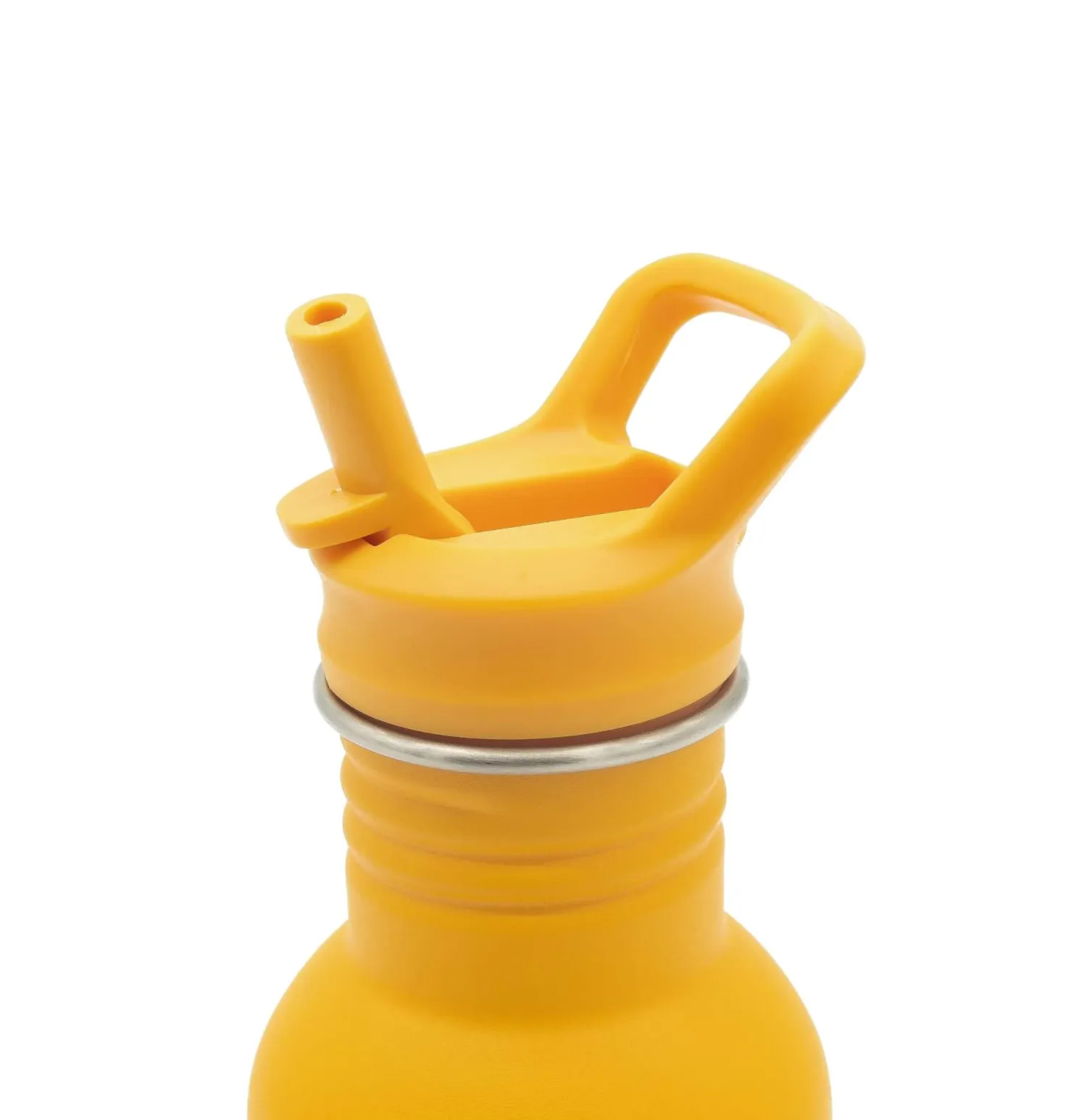 Bidony I Butelki|Bidony I Butelki | SASSI Butelka na wodę bidon 500 ml - Lew