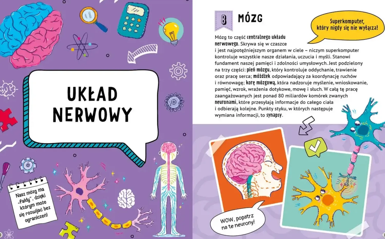 9 Lat +|5-8 Lat | Wydawnictwo Wilga 101 ciekawych faktów o naszym ciele