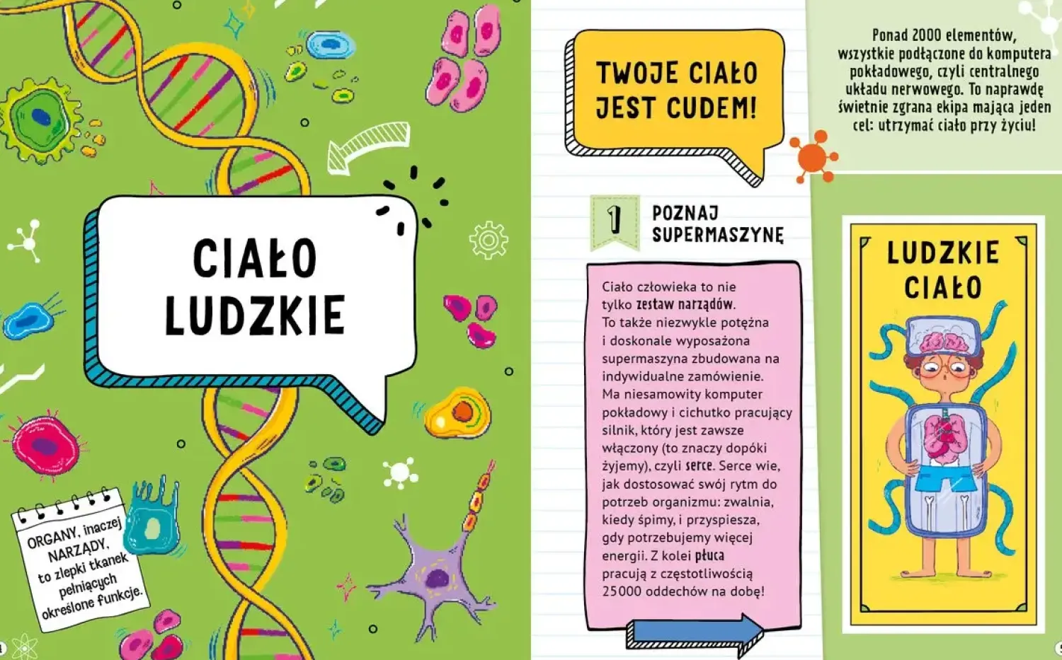9 Lat +|5-8 Lat | Wydawnictwo Wilga 101 ciekawych faktów o naszym ciele