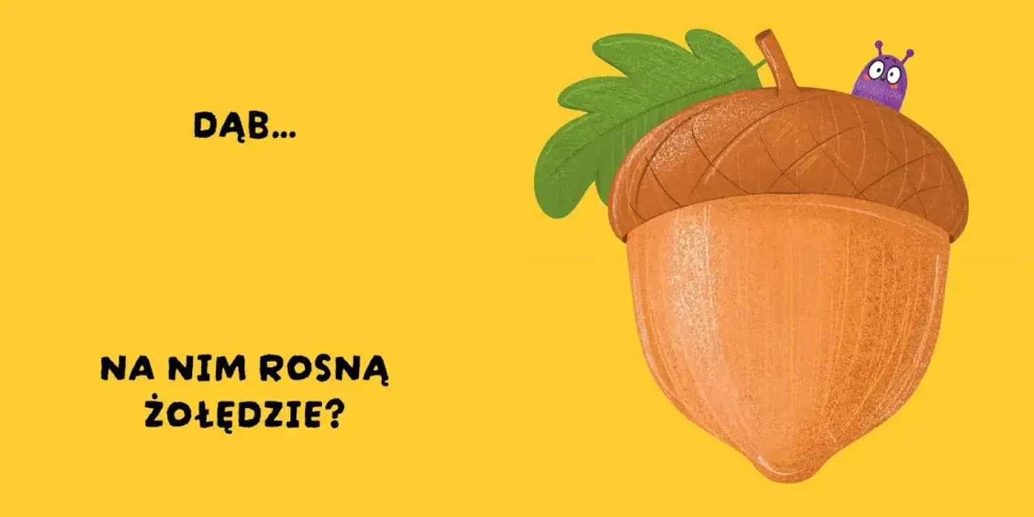 0-2 Lat | Wydawnictwo Wilga Czy to pasuje? Rośliny