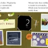 Detektyw Sowa na tropie. Czytam sobie. Poziom 2