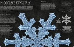 Duże i małe. Od kałamarnicy kolosalnej po płatki śniegu. Młodzi przyrodnicy