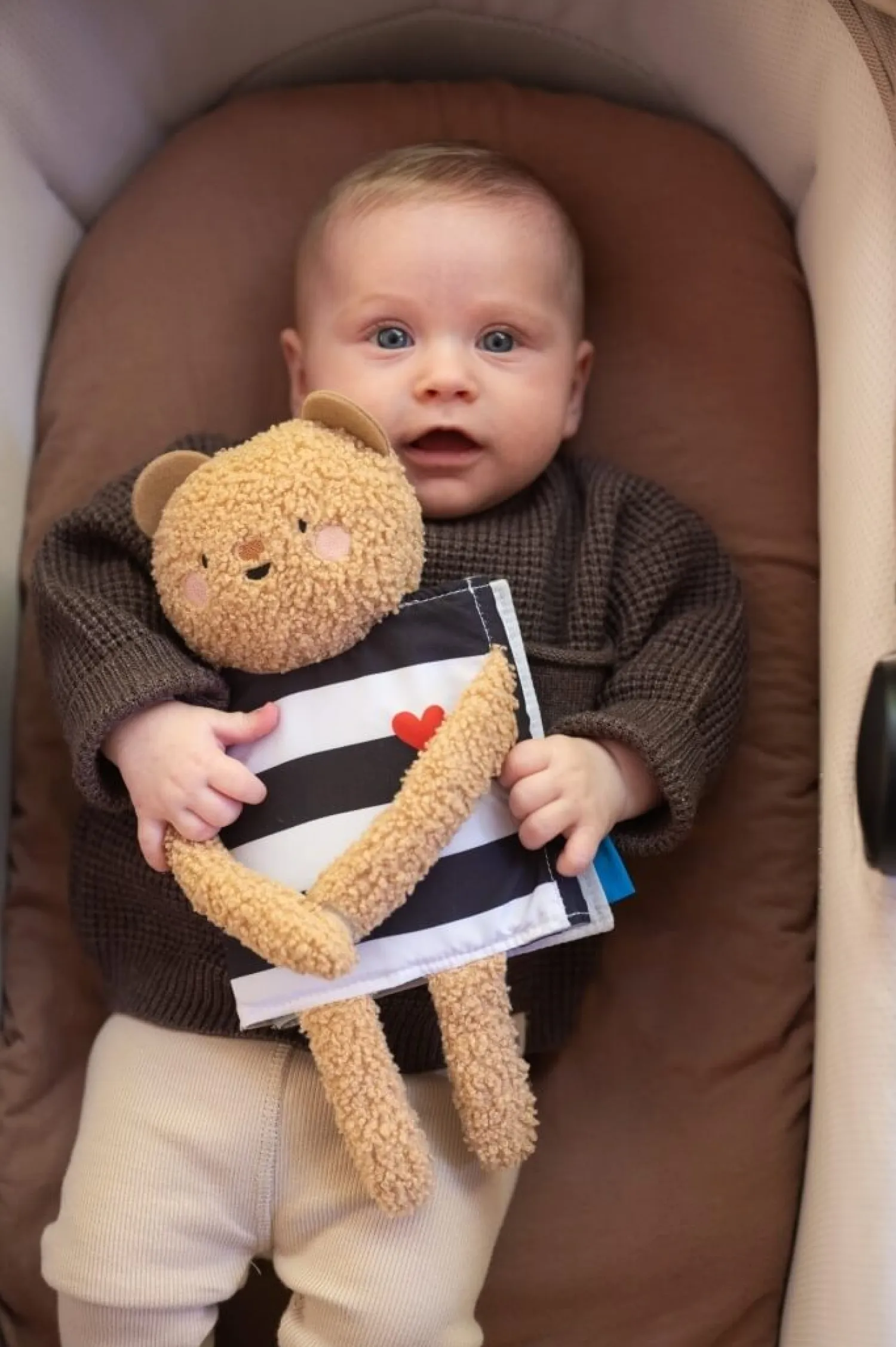 Kontrastowe|Aktywizujące | Taf Toys Dwustronna książeczka sensoryczna - przytulny miś