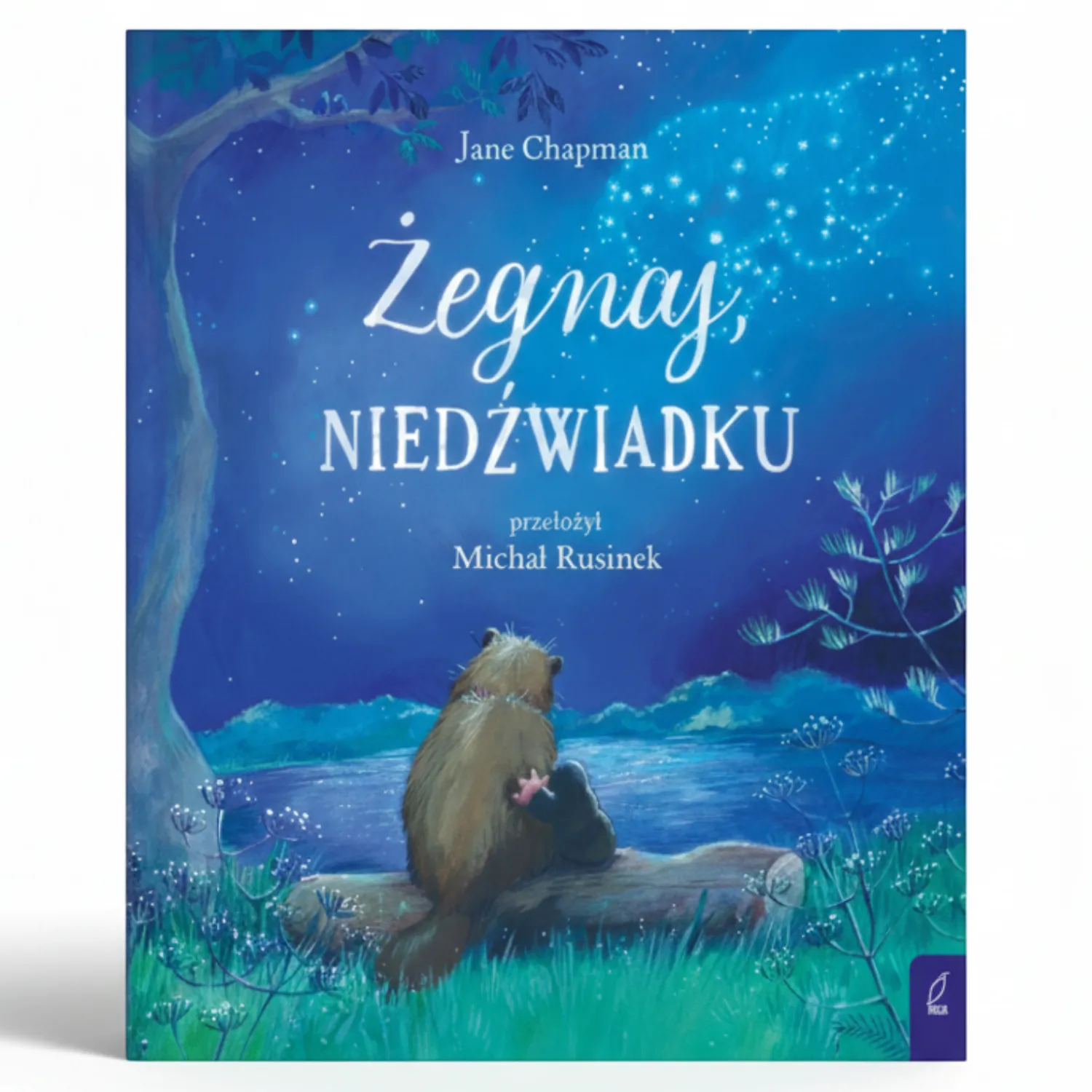 5-8 Lat|Oswajanie Emocji | Wydawnictwo Wilga Żegnaj, niedźwiadku