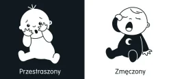 Kontrastowe|0-2 Lat | Wydawnictwo Wilga Emocje. Pierwsza książeczka malucha. Kontrastowe książeczki