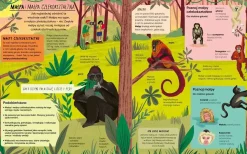 Encyklopedia rzeczy, które się mylą. Świat a wszechświat, tornado a huragan, mikroskop a teleskop oraz wiele innych par