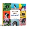 Gdzie jest Momo?