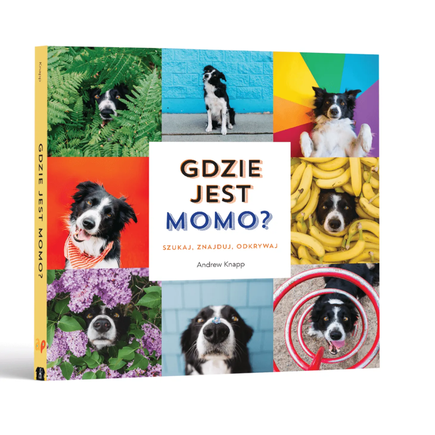 Gdzie jest Momo?
