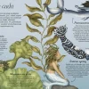 9 Lat +|5-8 Lat | HarperCollins Historia naturalna syren