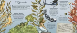 9 Lat +|5-8 Lat | HarperCollins Historia naturalna syren