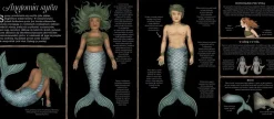 9 Lat +|5-8 Lat | HarperCollins Historia naturalna syren