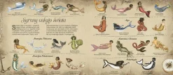 9 Lat +|5-8 Lat | HarperCollins Historia naturalna syren