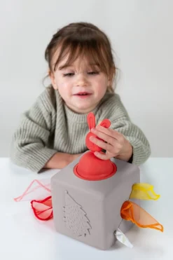 12M+|2 Lata + | Taf Toys Interaktywna kostka z wyskakującymi chusteczkami