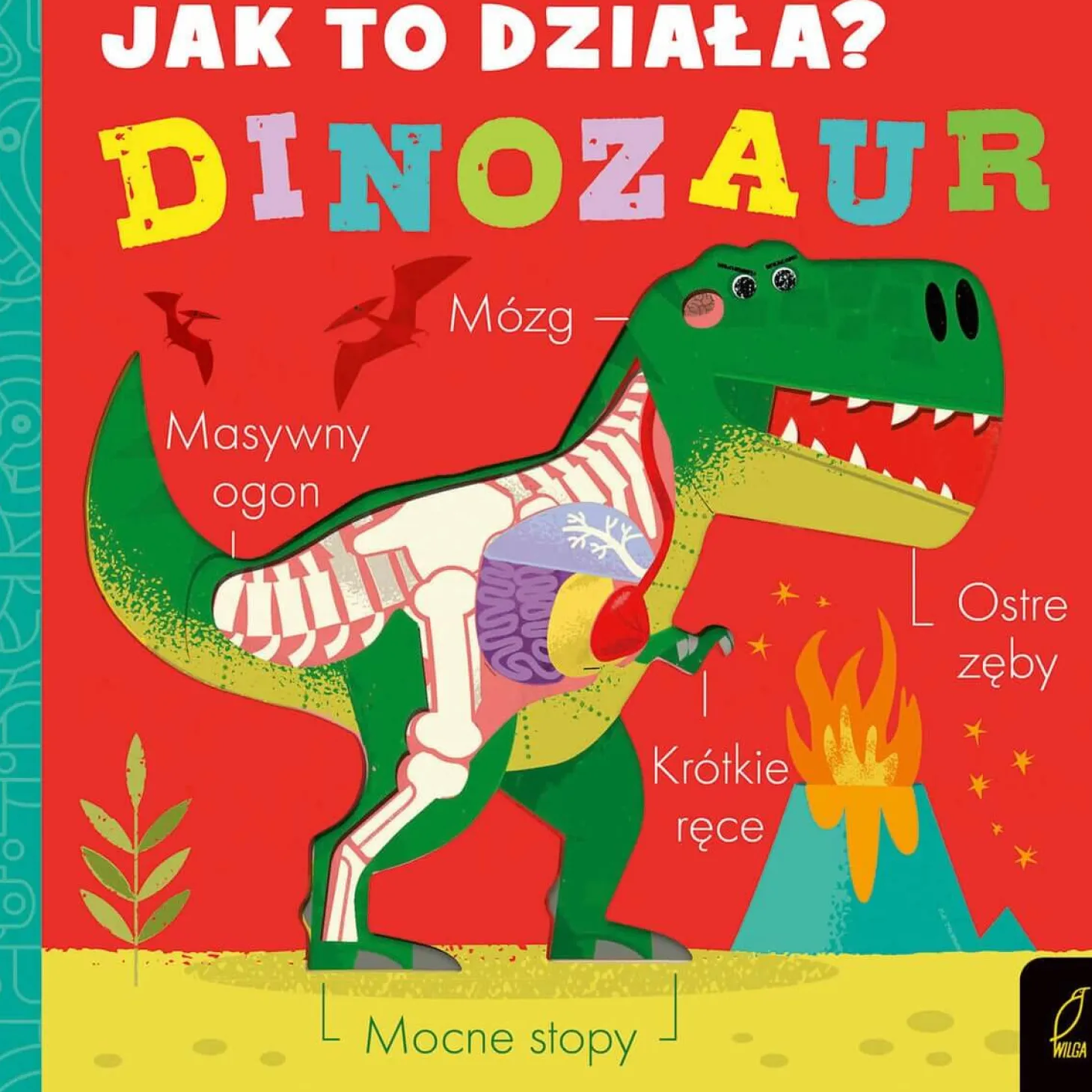 Jak to działa? DINOZAUR