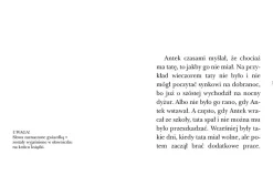 Karetka mojego taty. Poziom 3. Czytam sobie