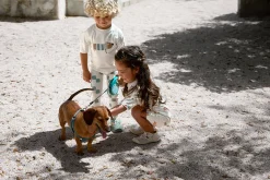 Stroje Kąpielowe|Stroje Kąpielowe | Lassig Kombinezon do pływania z krótkim rękawem UV60 Beach Dog - Orange, dark sea