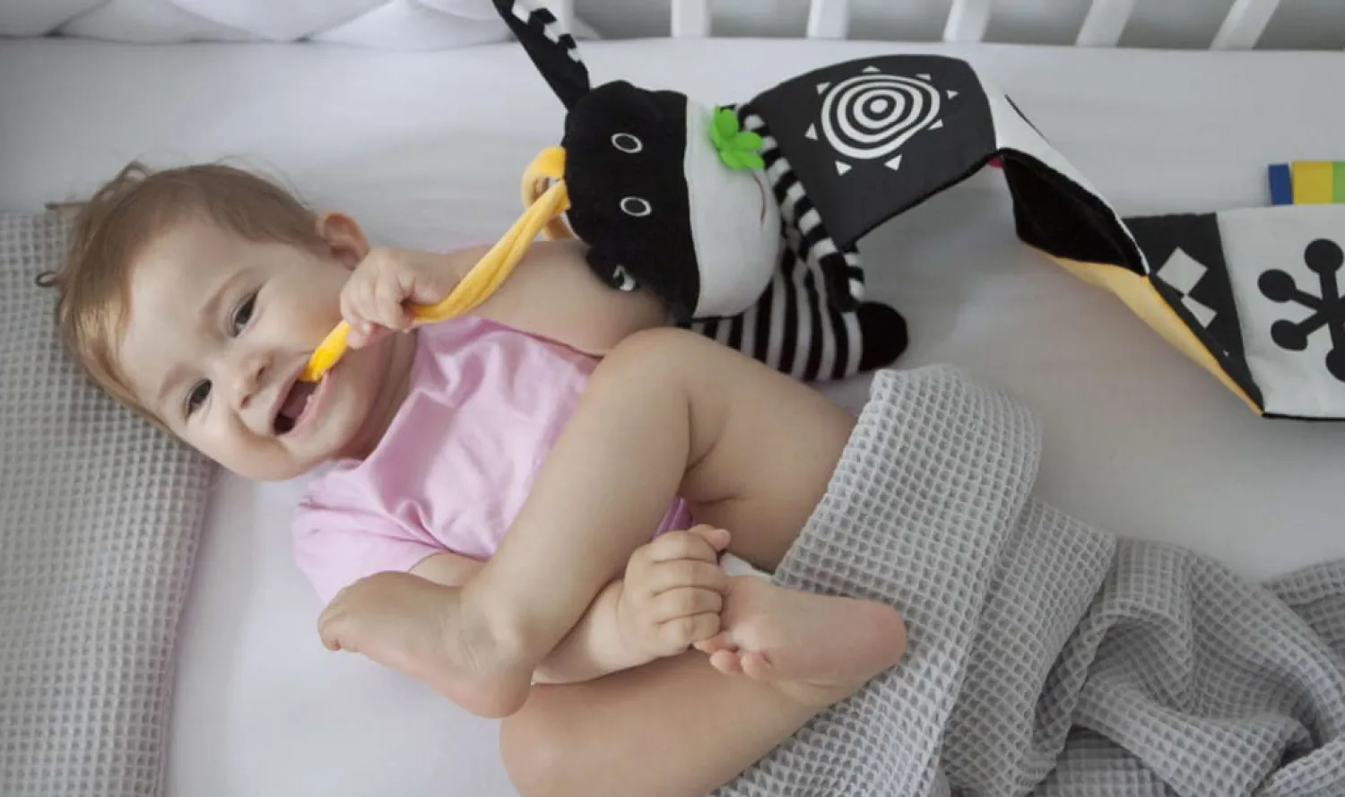 Kontrastowe|Zabawki Kontrastowe | Mom's Care Książeczka do łóżeczka Króweczka