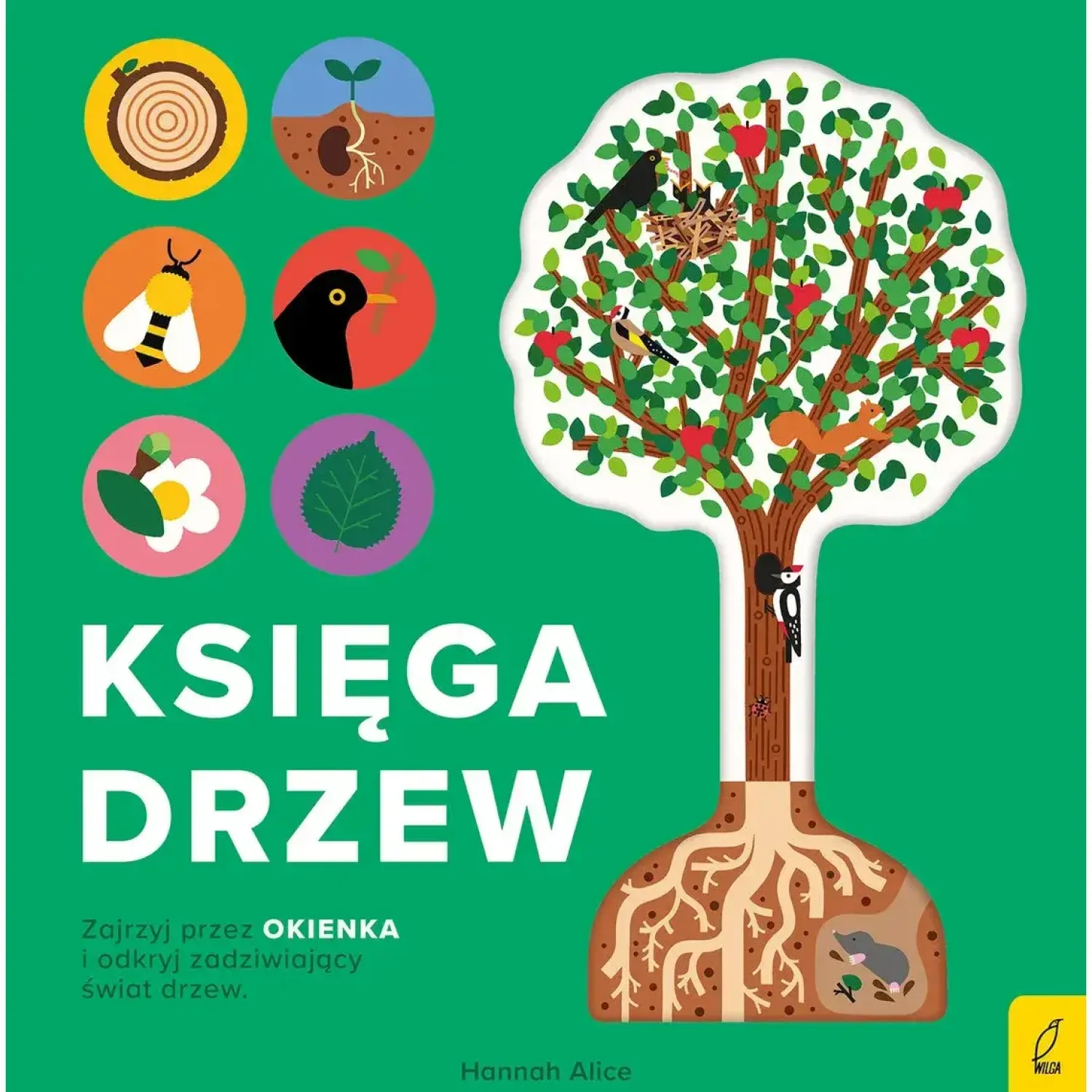 2-5 Lat | Wydawnictwo Wilga Księga drzew