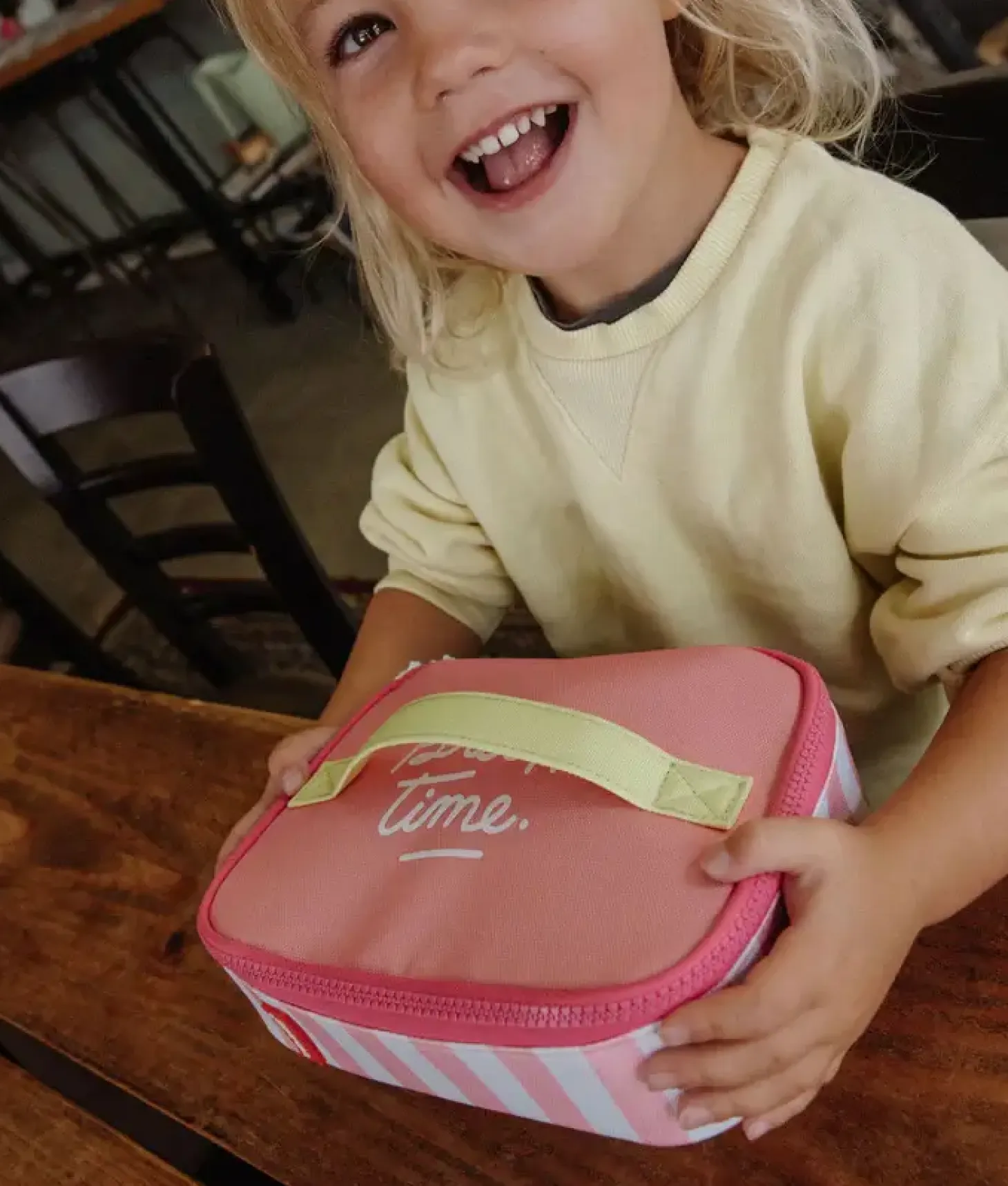 Lunchbox Mini Pink Stripes