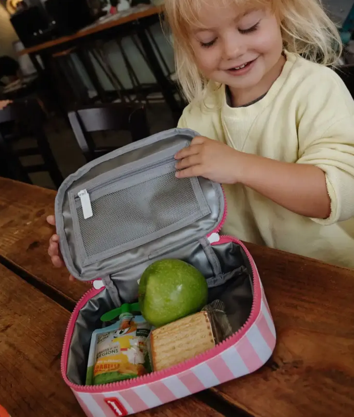 Lunchbox Mini Pink Stripes