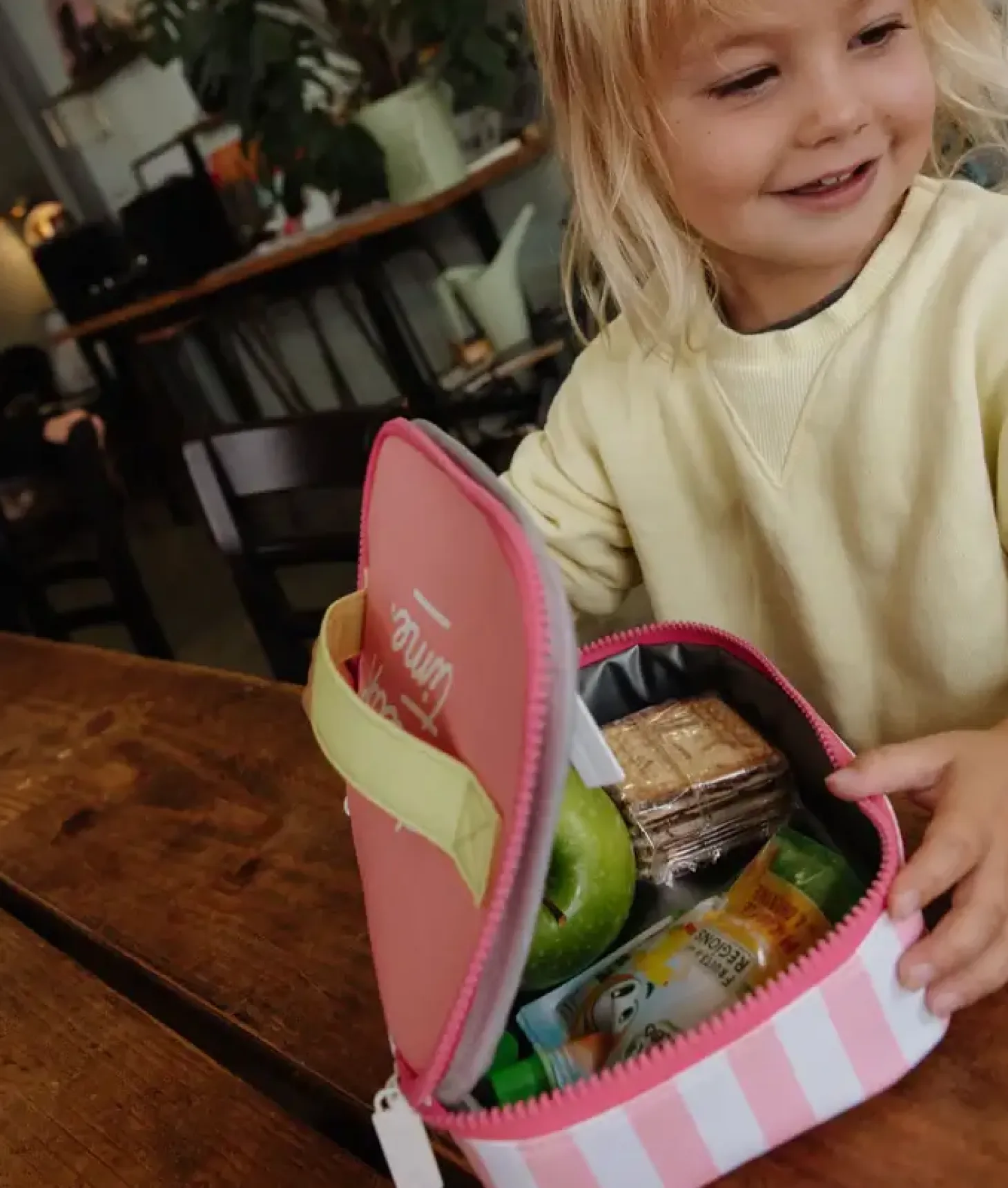 Lunchbox Mini Pink Stripes