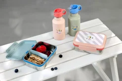 Lunchbox ze stali nierdzewnej Sunny Explorer green & blue