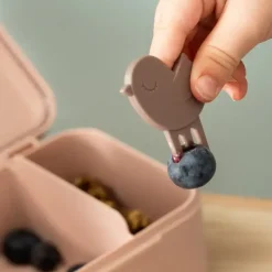 Lunchbox z widelczykami Tiny Farm Powder