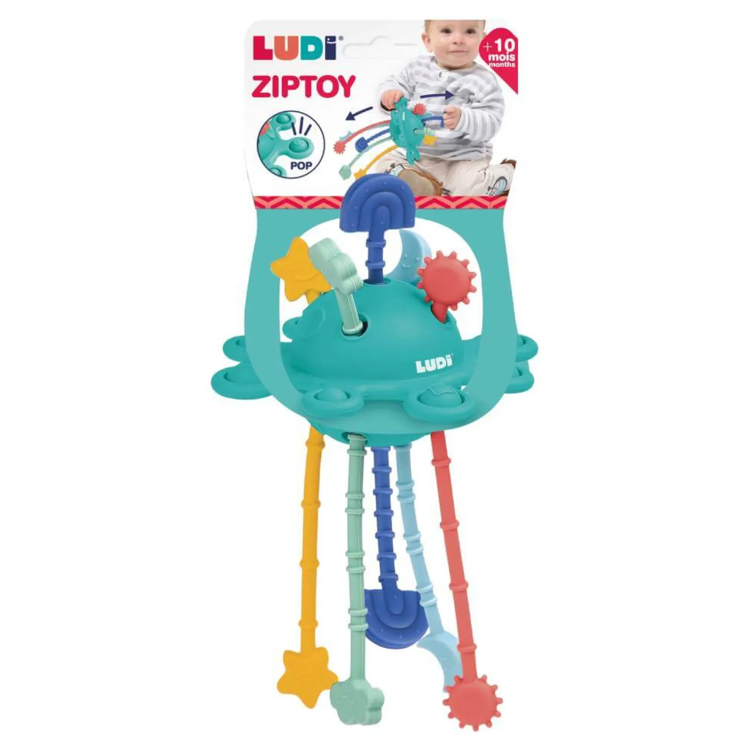 Idealne W Podróży|12M+ | LUDI Manipulacyjna zabawka sensoryczna Zippy