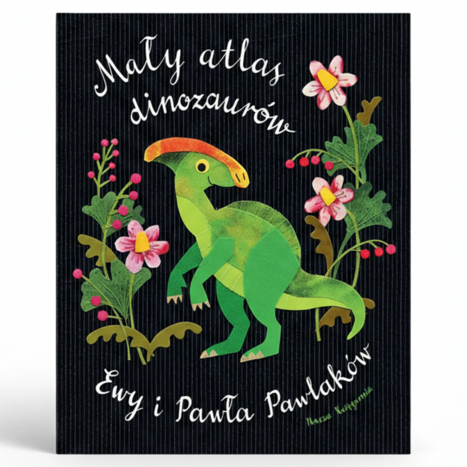 5-8 Lat|2-5 Lat | Wydawnictwo Nasza Księgarnia Mały atlas dinozaurów Ewy i Pawła Pawlaków