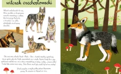 Mały atlas psów (i szczeniaków) Ewy i Pawła Pawlaków