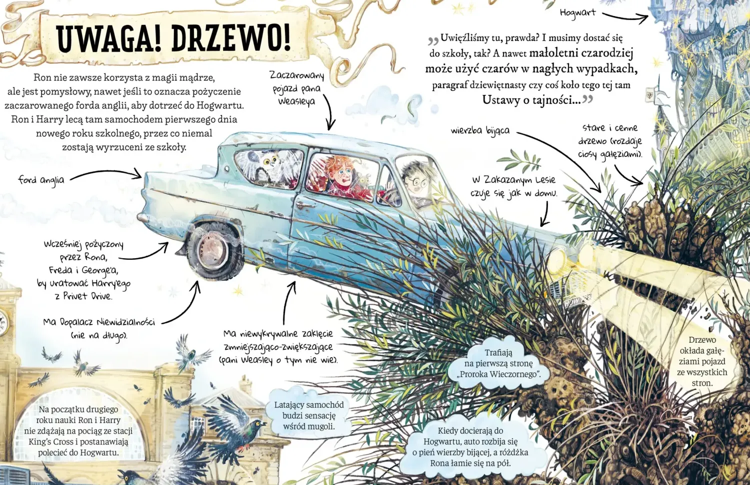 9 Lat +|5-8 Lat | Wydawnictwo Media Rodzina Mały potterownik. Ron Weasley. Przewodnik po serii Harry Potter.
