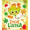 Mikrocuda. Życie listka