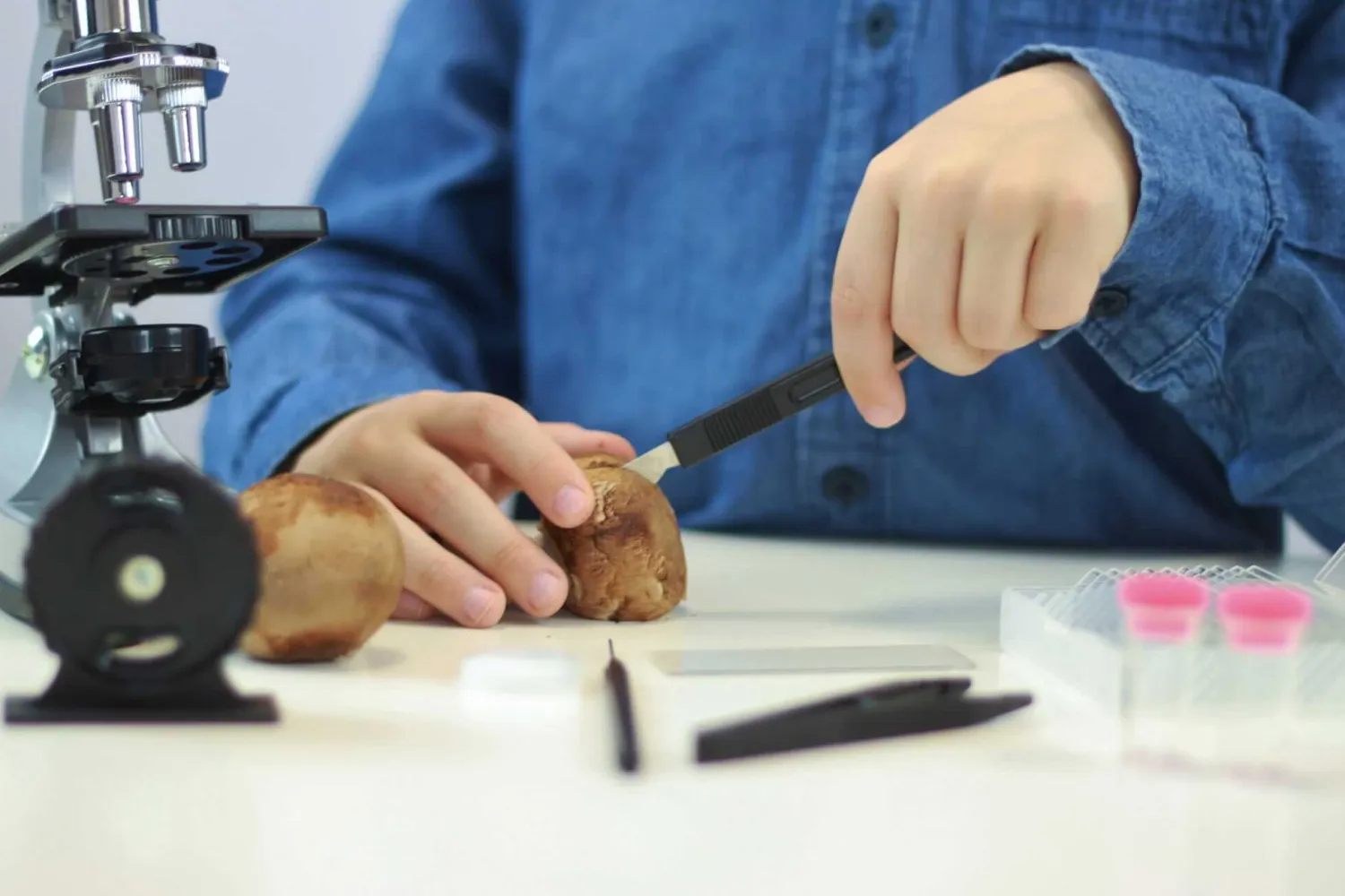 Edukacyjne|8 Lat+ | Buki Mikroskop - 30 doświadczeń