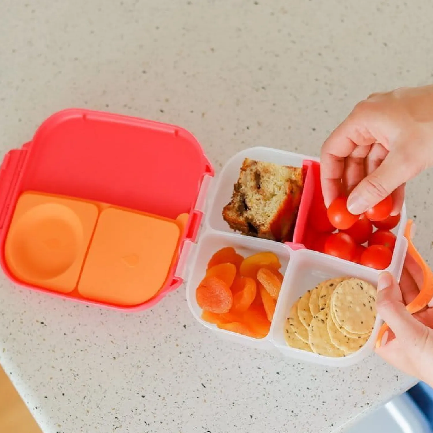 Lunchboxy|Przechowywanie Jedzenia | b.box Mini lunchbox - Indigo Rose