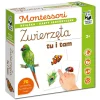 Montessori. Karty sensoryczne z książeczką. Zwierzęta tu i tam