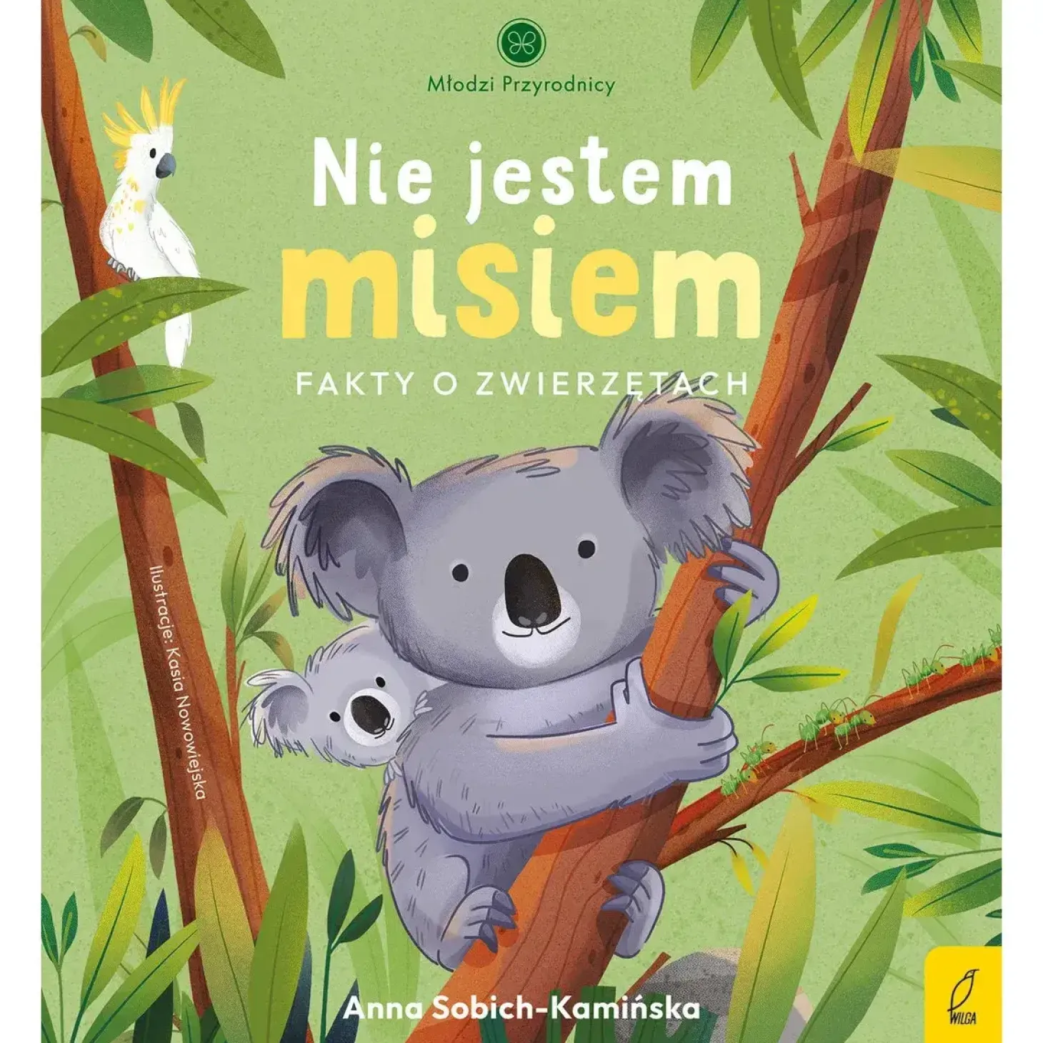 Nie jestem misiem. Fakty o zwierzętach. Młodzi przyrodnicy