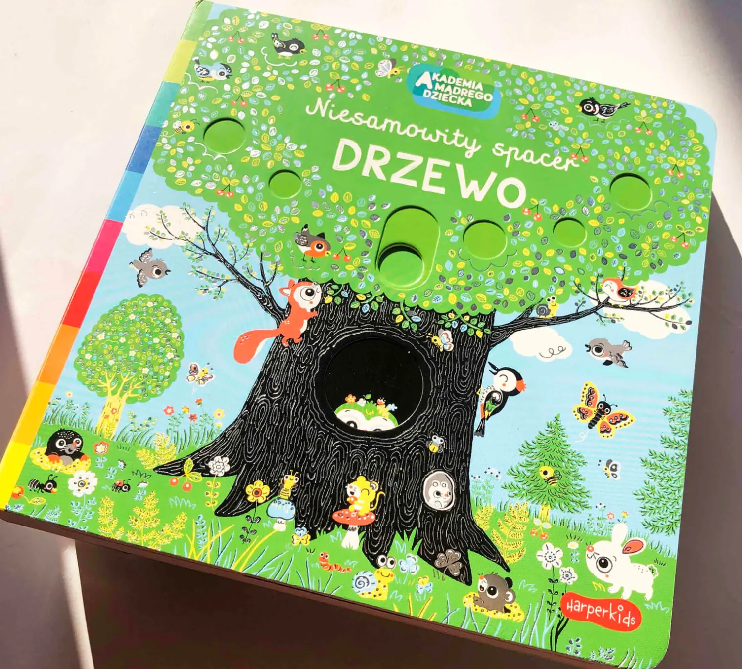 0-2 Lat | HarperCollins Niesamowity spacer. Drzewo. Akademia mądrego dziecka