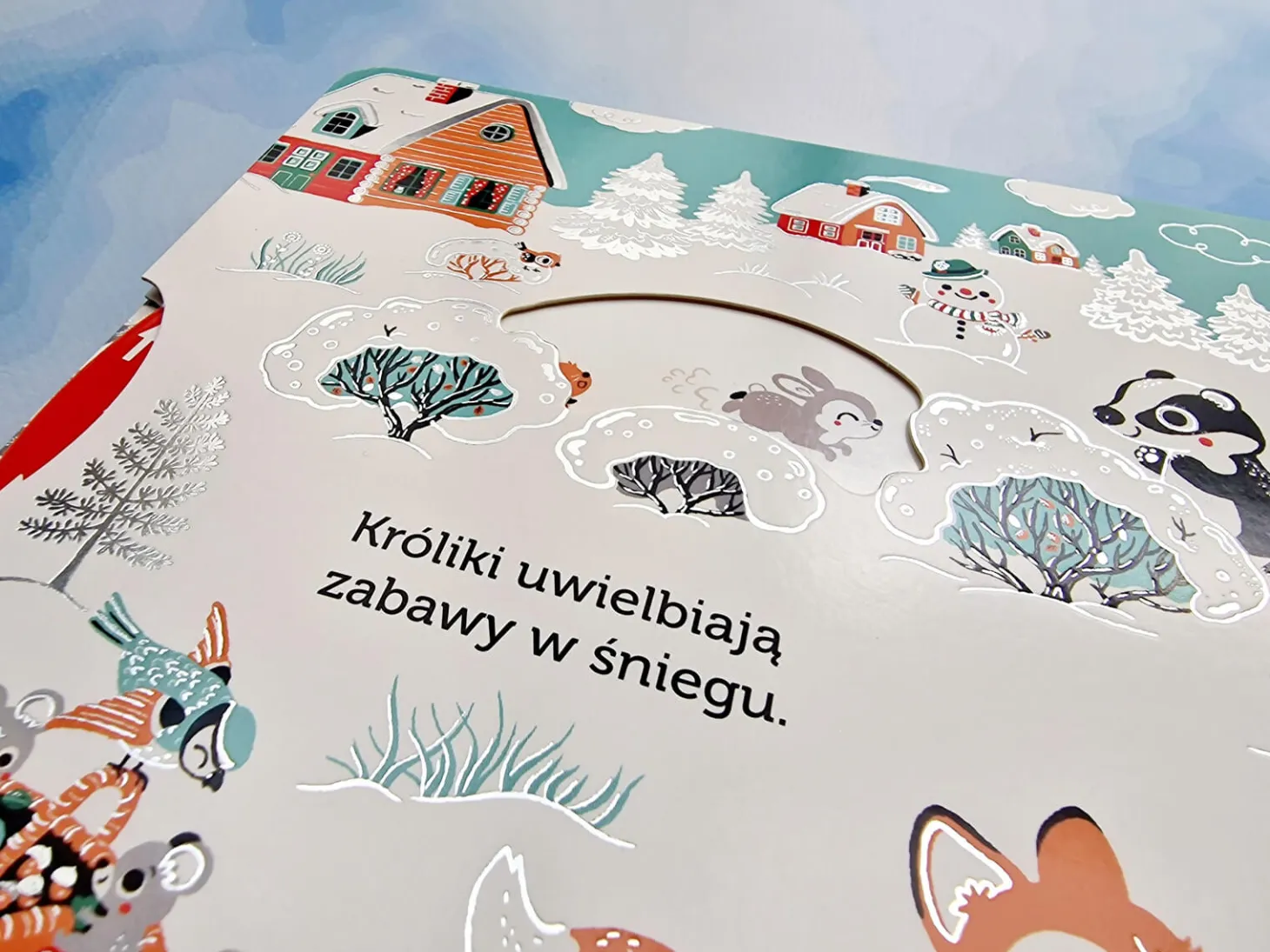 Niesamowity spacer. Śnieg. Akademia mądrego dziecka