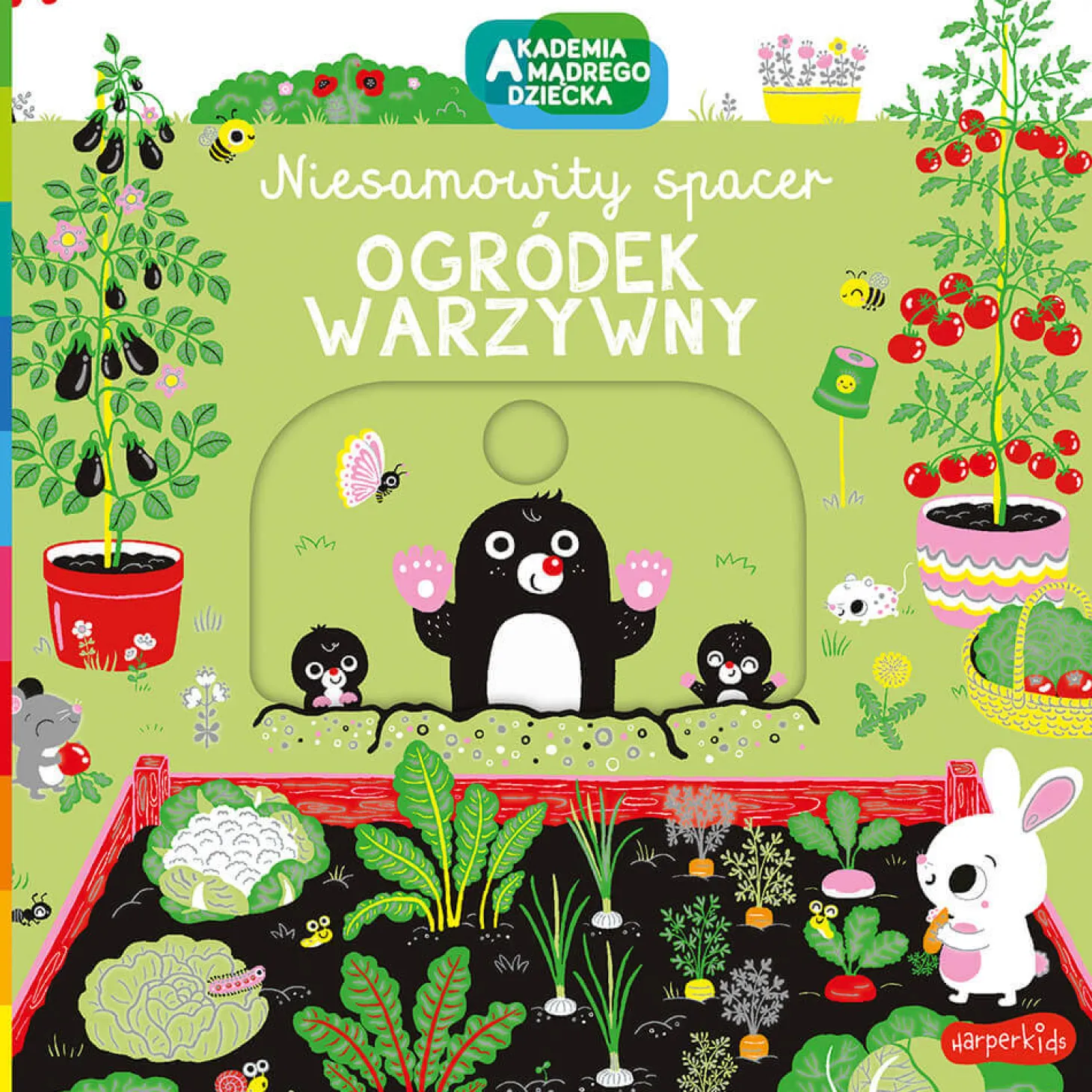 Niesamowity spacer. Ogródek warzywny. Akademia mądrego dziecka