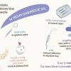 Pucio|2-5 Lat | Wydawnictwo Nasza Księgarnia Pucio i Wróżka Zębuszka