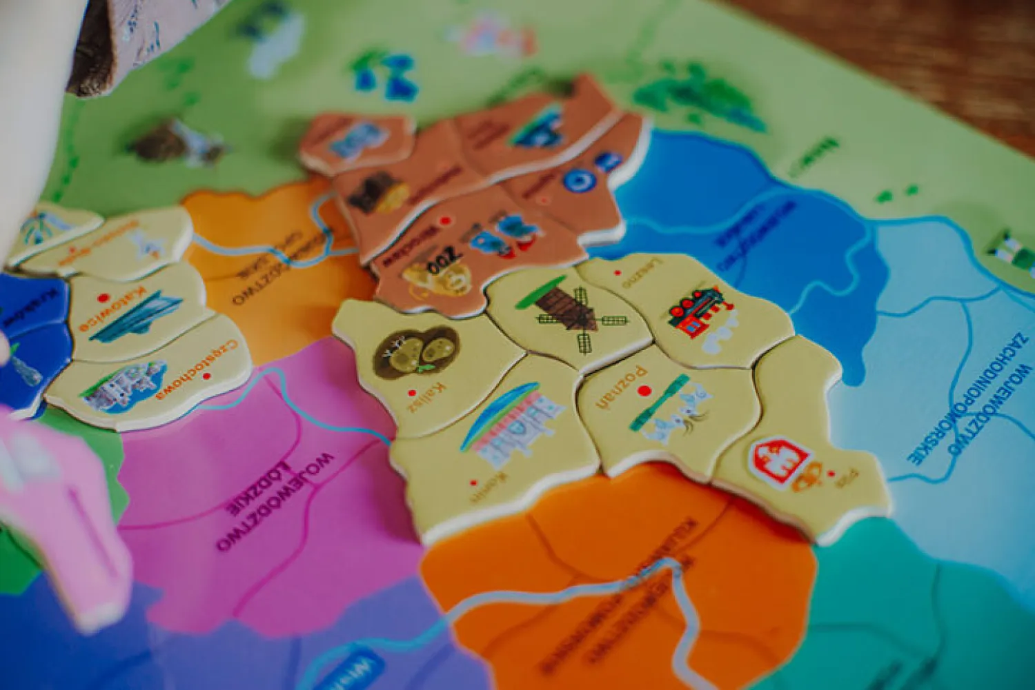 8 Lat+|Edukacyjne | Janod Puzzle magnetyczne Mapa Polski 69 magnesów 7+