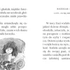 9 Lat +|5-8 Lat | HarperCollins Rok z kocicą Izabelą. Czytam sobie. Poziom 3