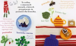 2-5 Lat | Wydawnictwo Nasza Księgarnia Roślinkowa książka