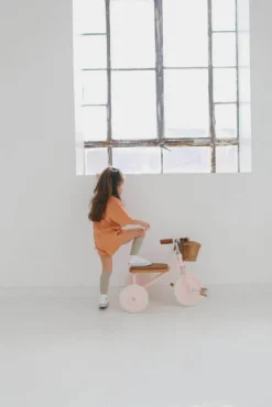 Rowerek trójkołowy Trike Pink