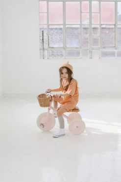 Rowerek trójkołowy Trike Pink
