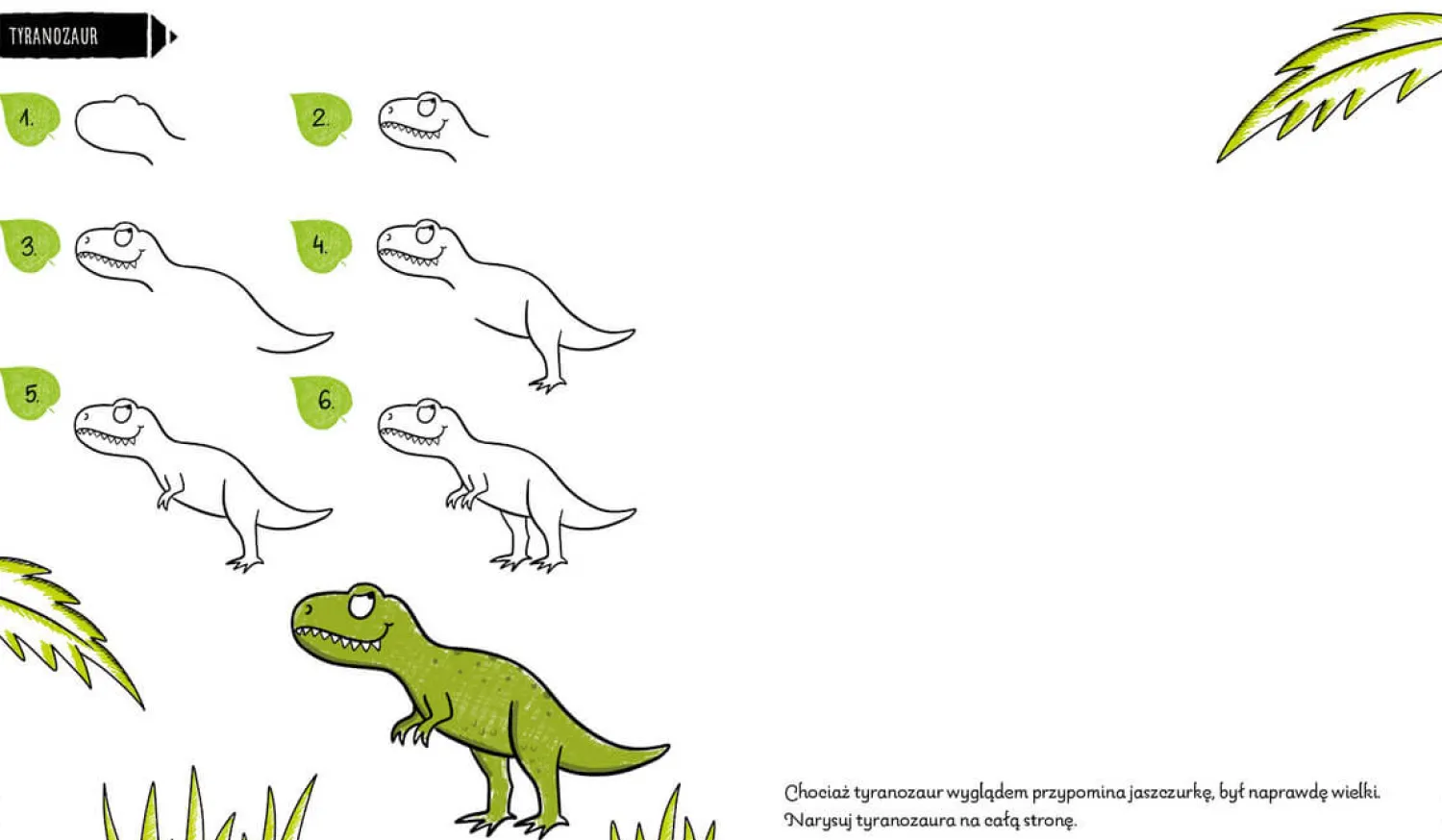 Kolorowanki|8 Lat+ | Wydawnictwo Wilga Rysowanie krok po kroku. Dinozaury